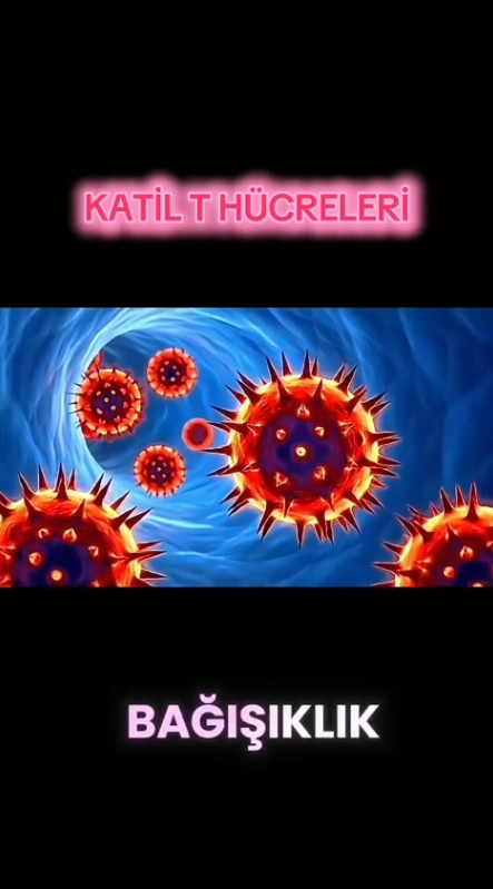 Video Kapak Görseli